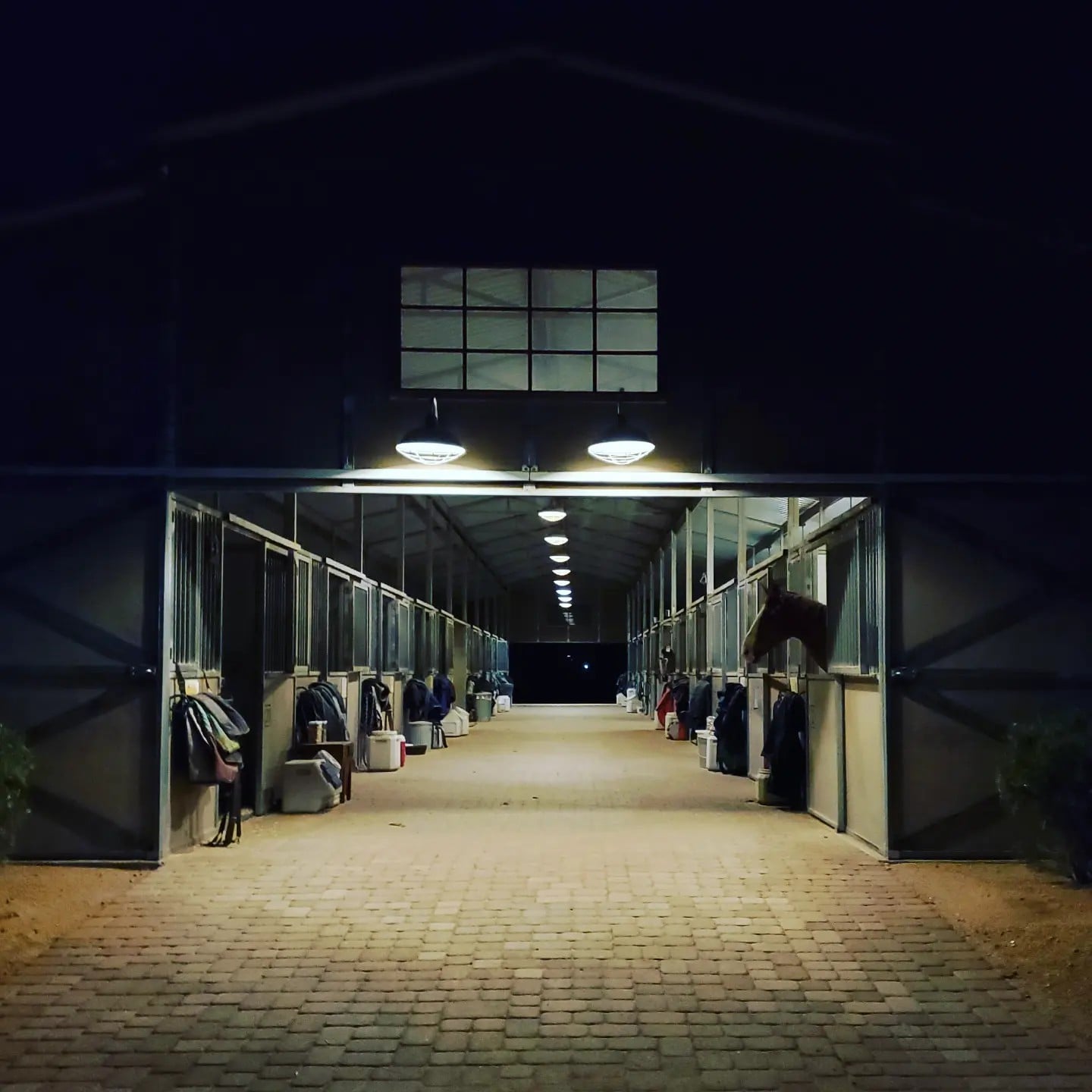 gallery